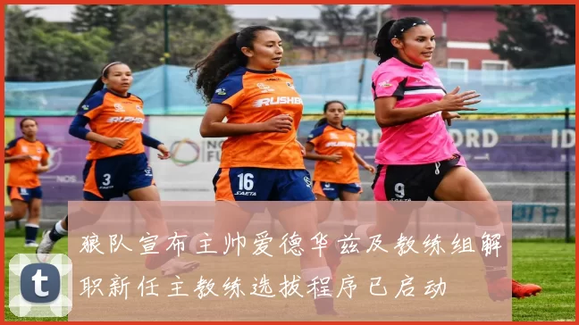 狼队宣布主帅爱德华兹及教练组解职新任主教练选拔程序已启动