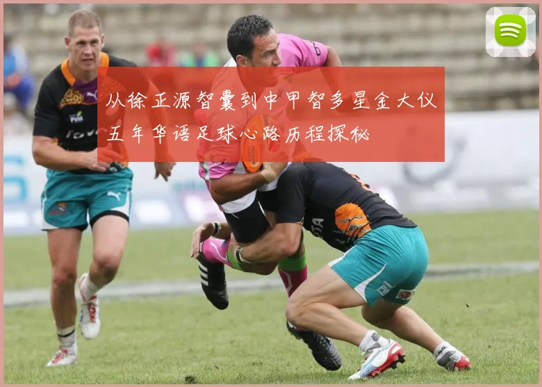 从徐正源智囊到中甲智多星金大仪五年华语足球心路历程探秘