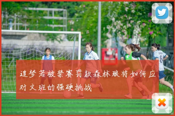 追梦若被禁赛罚款森林狼将如何应对文班的强硬挑战